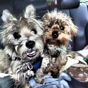 Meet your Posher, Kathy